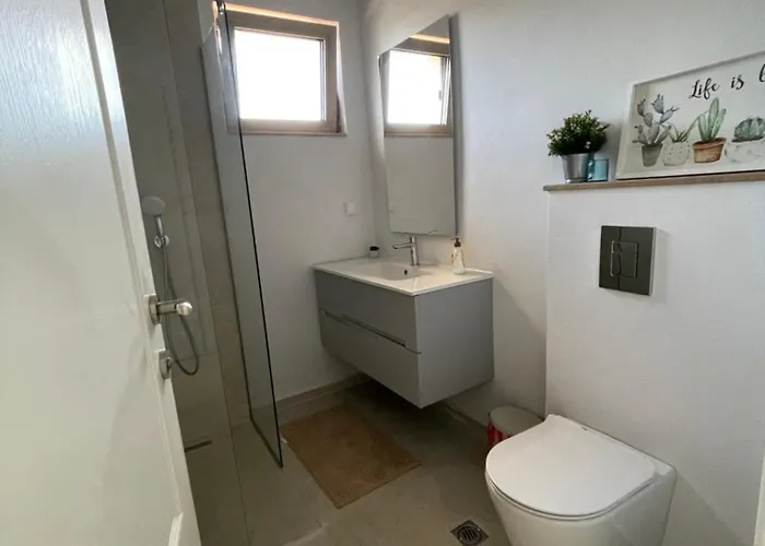 Dimargo Лозенец