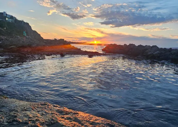 Dimargo * 洛泽内茨